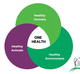 One Health Approach