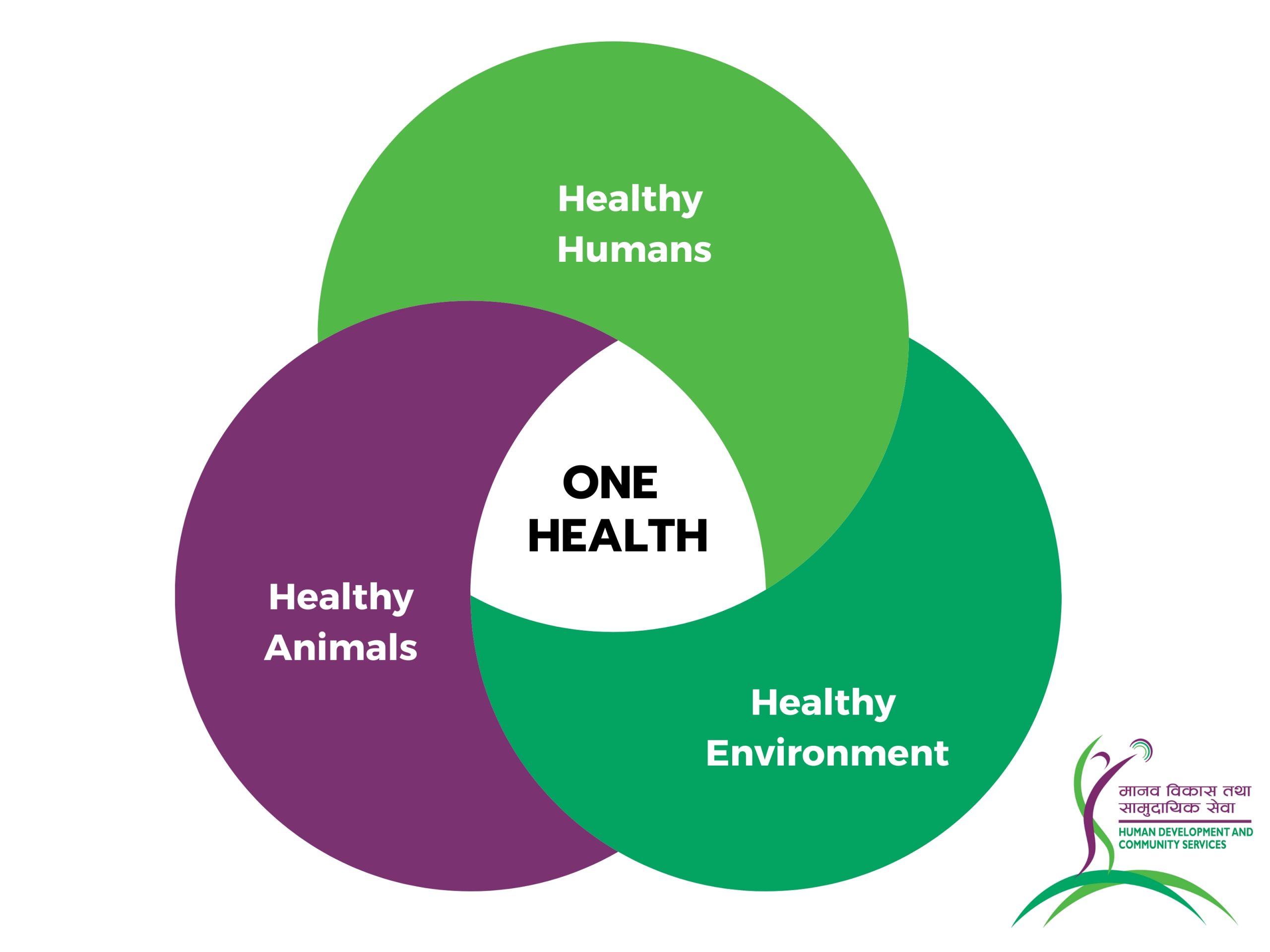 One Health Approach