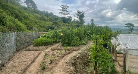 🌱 Growing Together: Progress at the One Health Model Farm